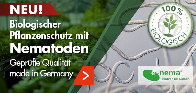 Footerpromo-Nematoden-DE