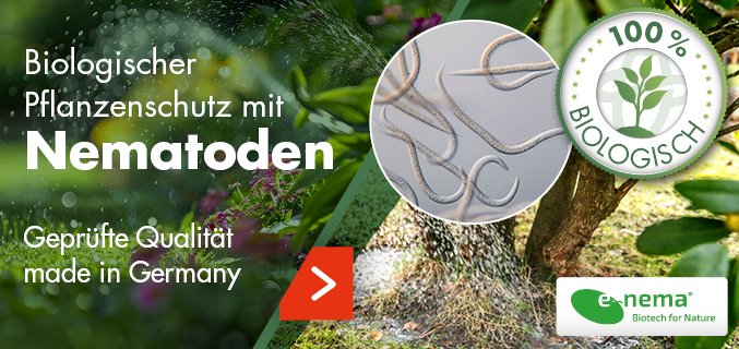 Footerpromo-Nematoden-DE