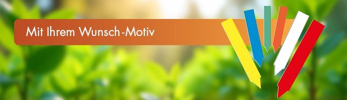 page-Etiketten-MeyerStecketikett-Header