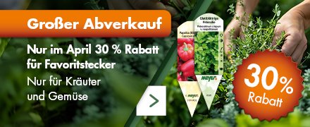 Promotile-AbverkaufFavorit-DE