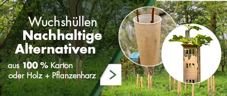 Promotile-Wuchshuellen-2026-DE
