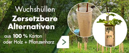 Promotile-Wuchshuellen-2026-DE