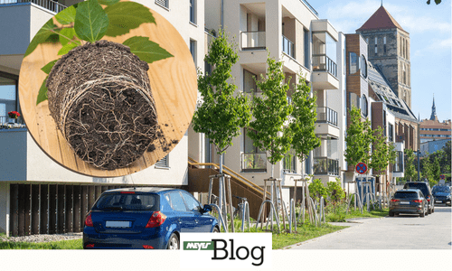 Blog-Wasser speichern-Banner